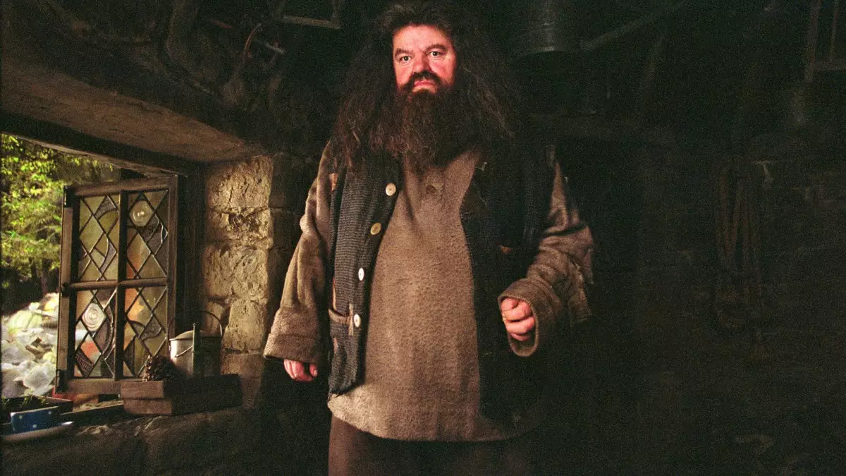 We think Hagrid would love this place (