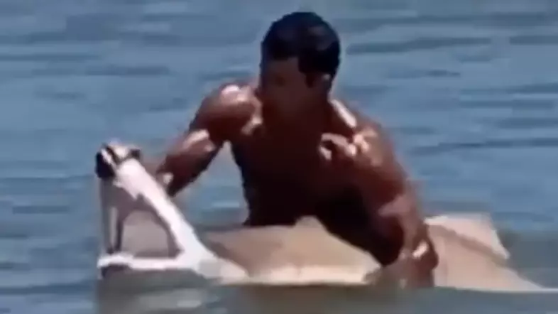 Swimmer Grabs Large Shark With Bare Hands And Holds Its Mouth