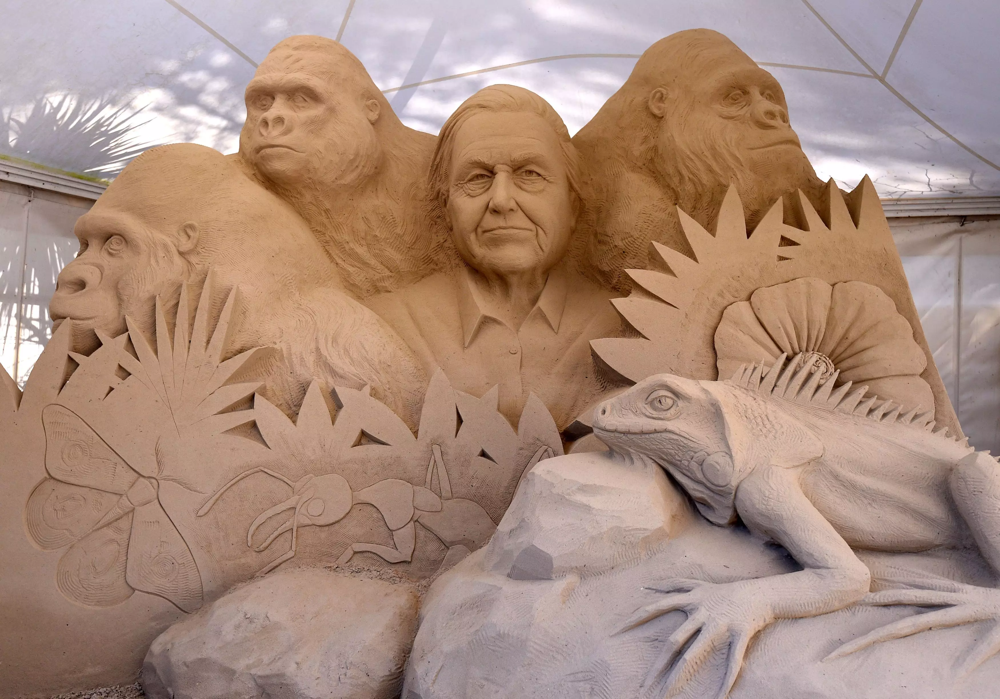 Sand sculpture of David Attenborough