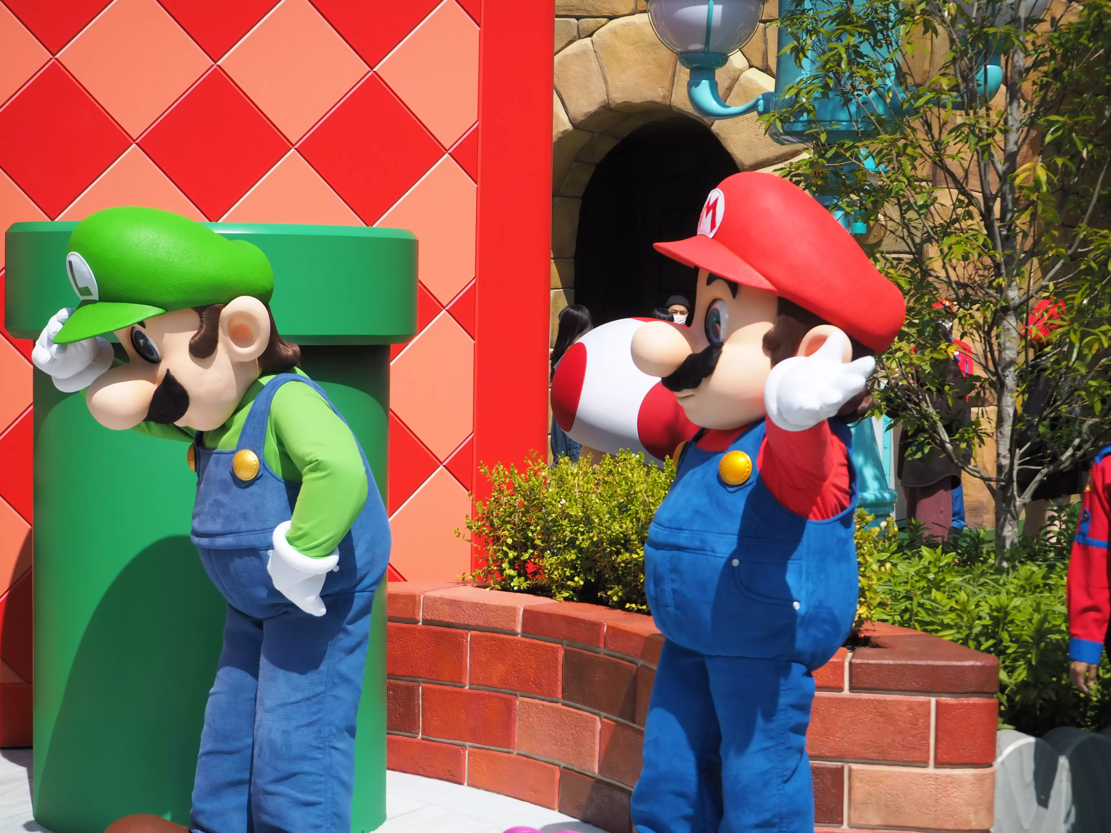 Mario and Luigi, as well as Peach and Toad, are in the park to meet /