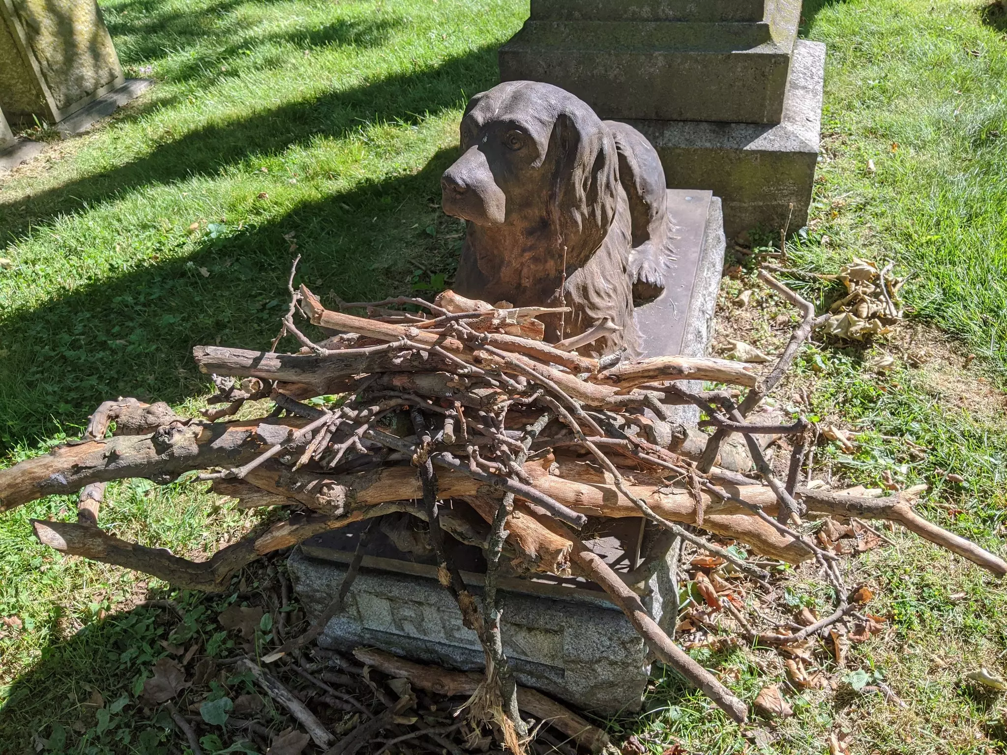 People Are Leaving Sticks At This 100-Year-Old Dog Grave