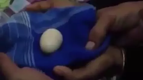 Teenage Boy Claims To Have Laid Over 20 Eggs In Two Years 