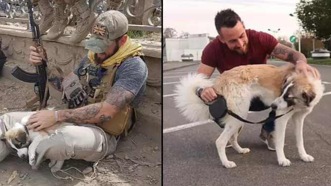 Former Soldier Emotionally Reunites With Puppy He Saved From Rubble In Syria