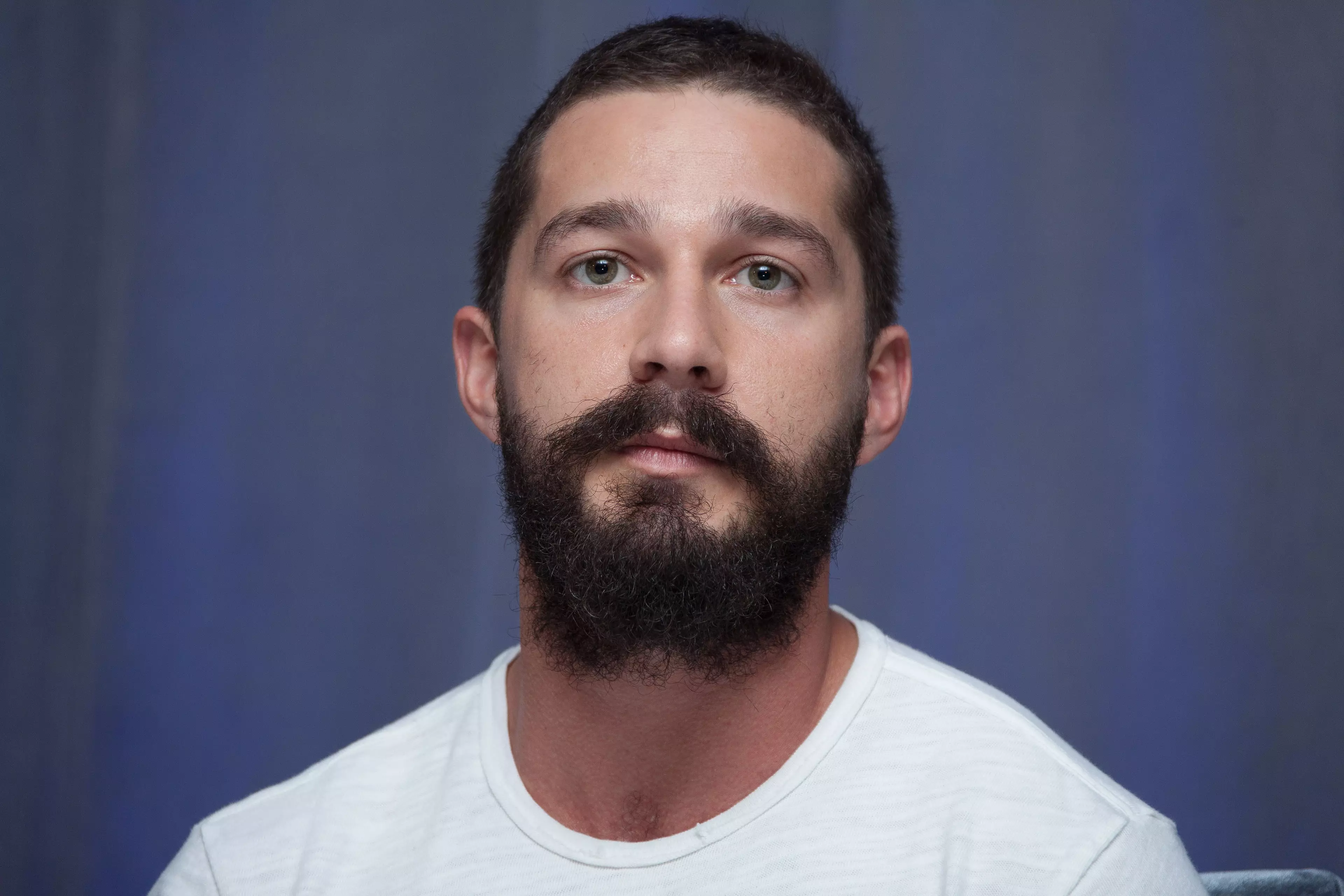 Shia LaBeouf