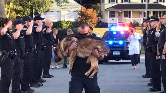 Faithful Police Dog Given Final Salute After Terminal Diagnosis