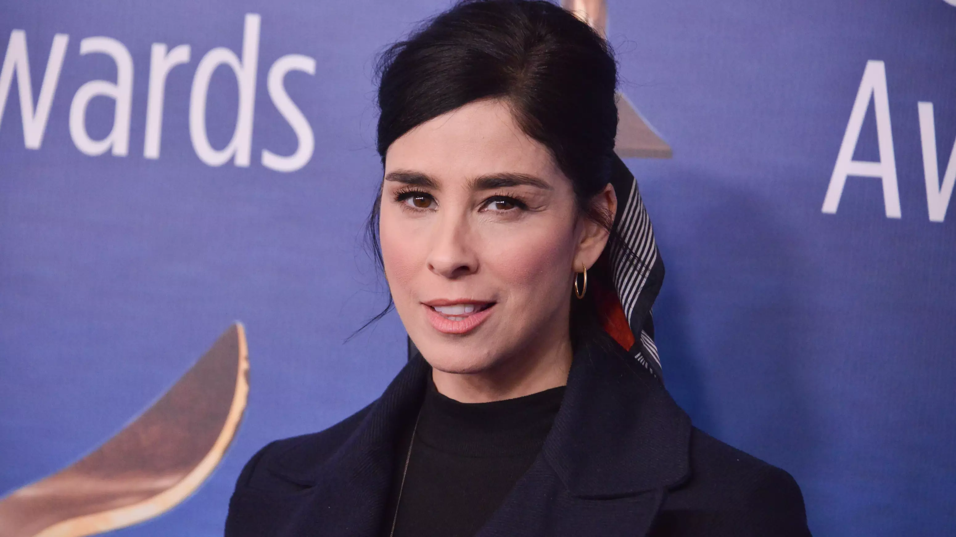 Sarah Silverman Was Sacked From A Film Because Of Blackface Sketch
