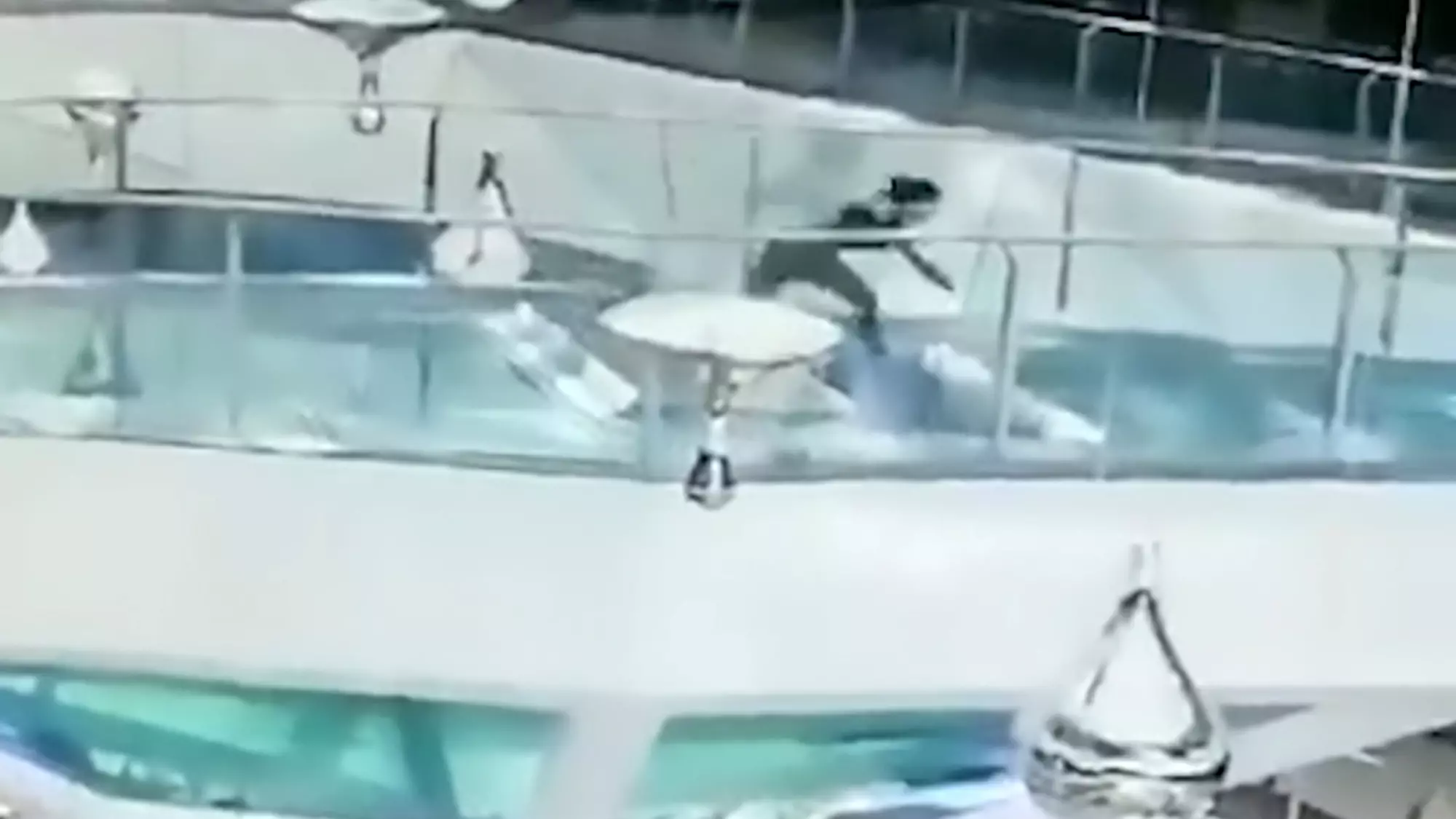 Woman Falls Into Shopping Centre Shark Tank During Feeding Time 