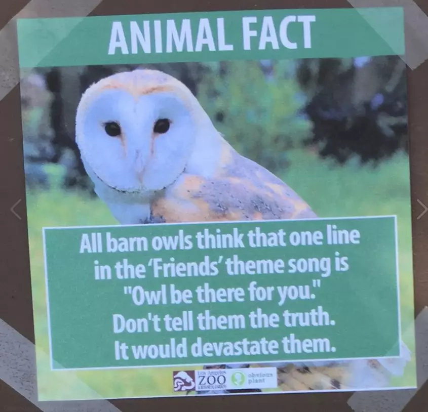 Lad Leaves Fucking Awesome Fake Animal Facts Around Los Angeles Zoo
