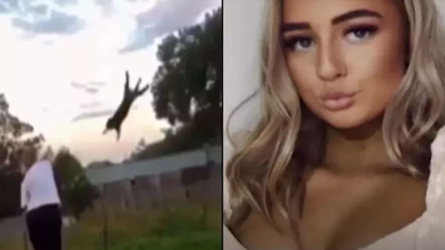Aussie Woman Under Investigation For Throwing Cat In The Air Towards Dog
