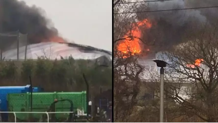 Chester Zoo 'Devastated' After Confirming Some Animals Died In Yesterday's Blaze