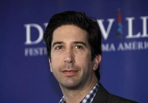 David Schwimmer Struggled With Fame When He Was In 'Friends'