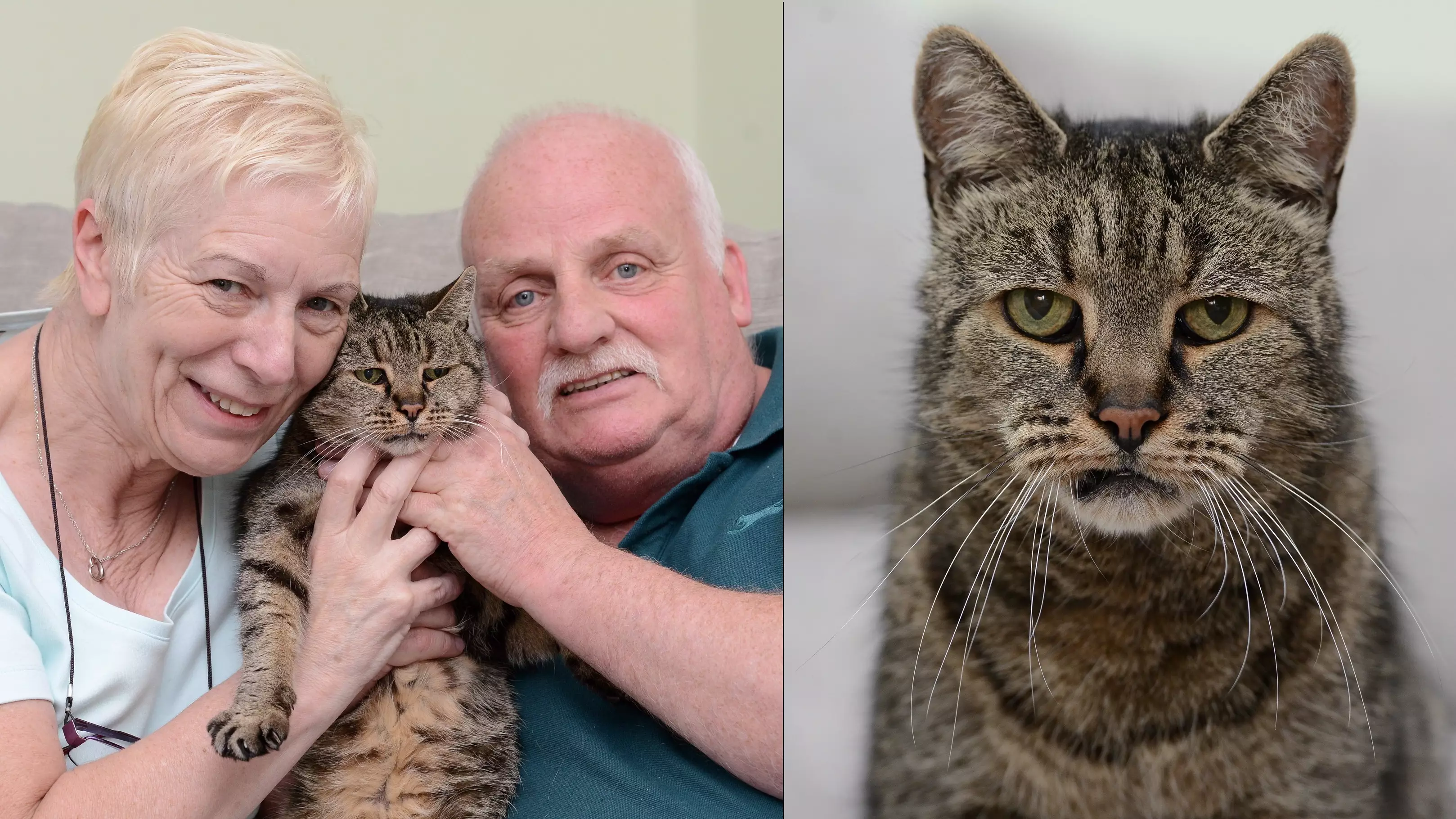 The World's Oldest Cat Has Sadly Passed Away