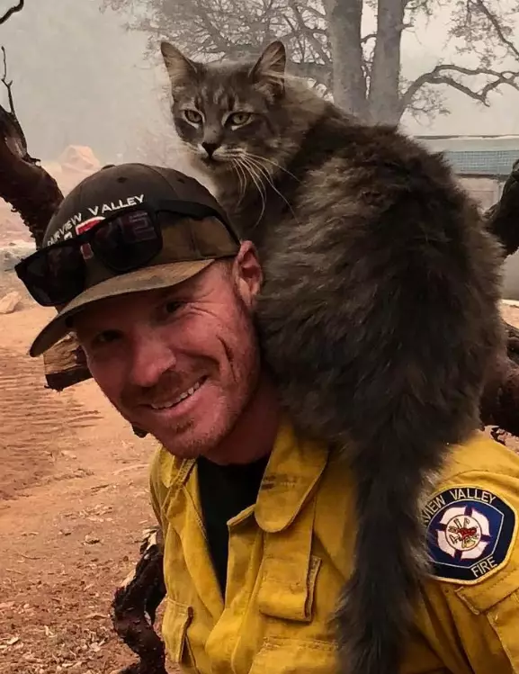 Firefighter Ryan Coleman rescued the cat and it refused to let go.