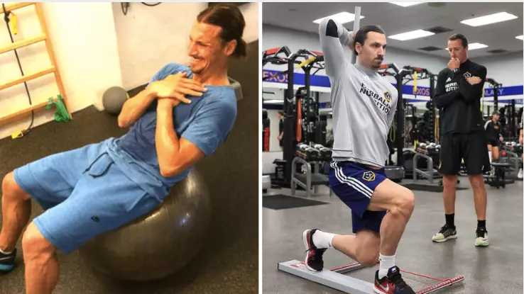 Doctors Want To Perform Research On Zlatan Ibrahimovic's Physique After He Retires 