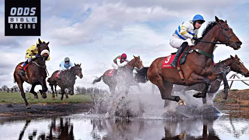 ODDSbibleRacing's Best Bets From Saturday's Action At Leicester, Bath And More