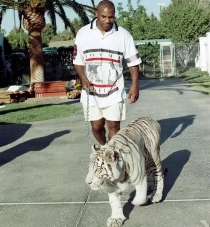 Mike Tyson Explains Why He Got The Tigers.
