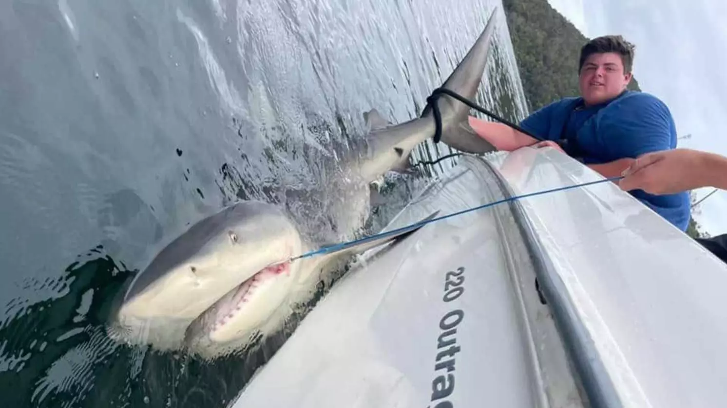 Teenager Reels In 2.8 Metre Bull Shark In Sydney Harbour 