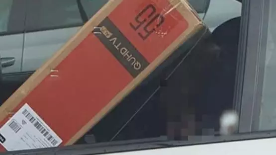 Driver Slammed For Squishing Flat Screen TV On Top Of Child In Car