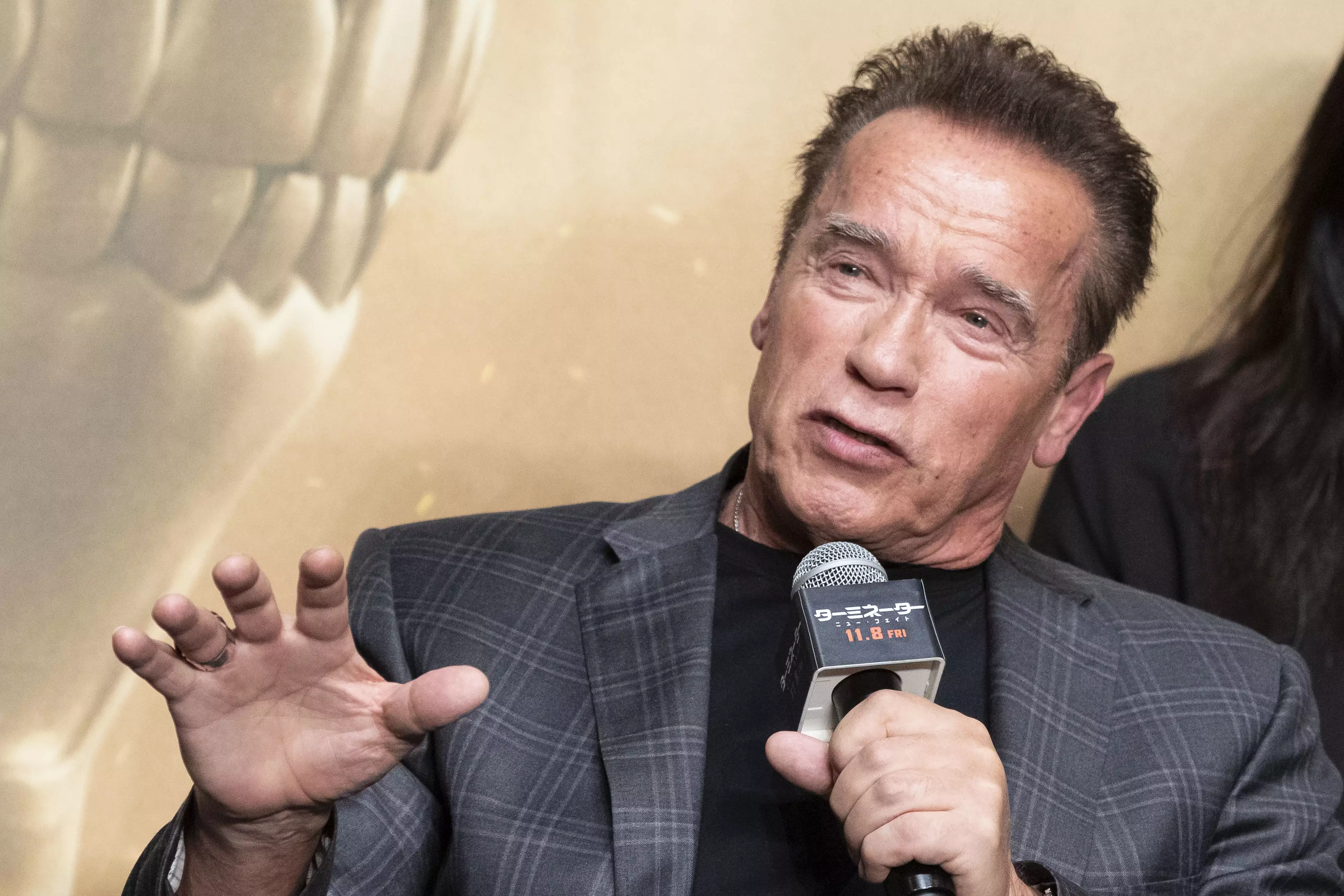 Schwarzenegger in 2019.