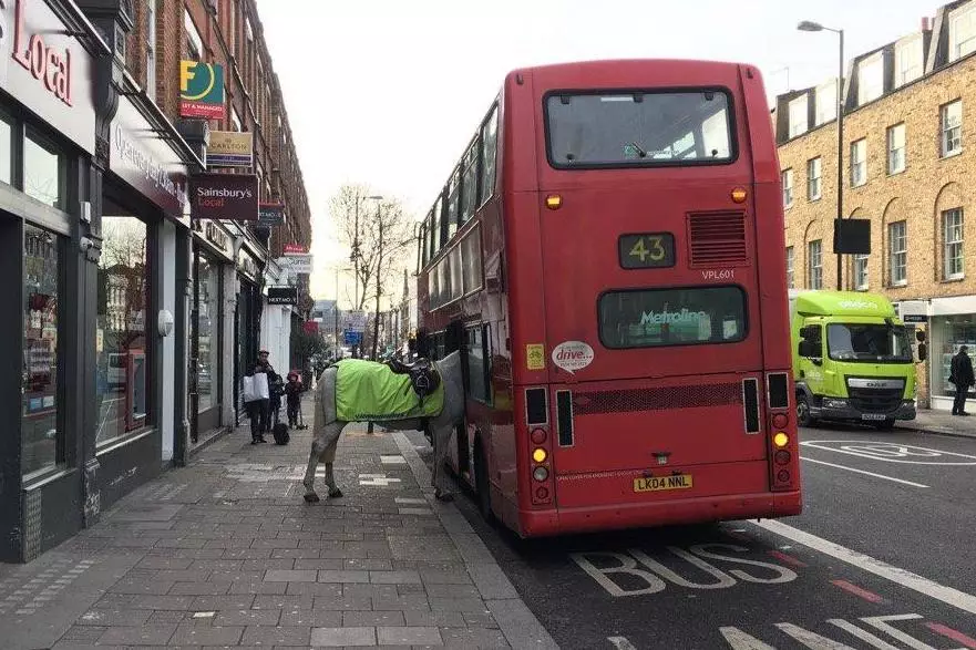 'Single, Please!': Photo Shows Bizarre Sight Of Police Horse Getting On Bus
