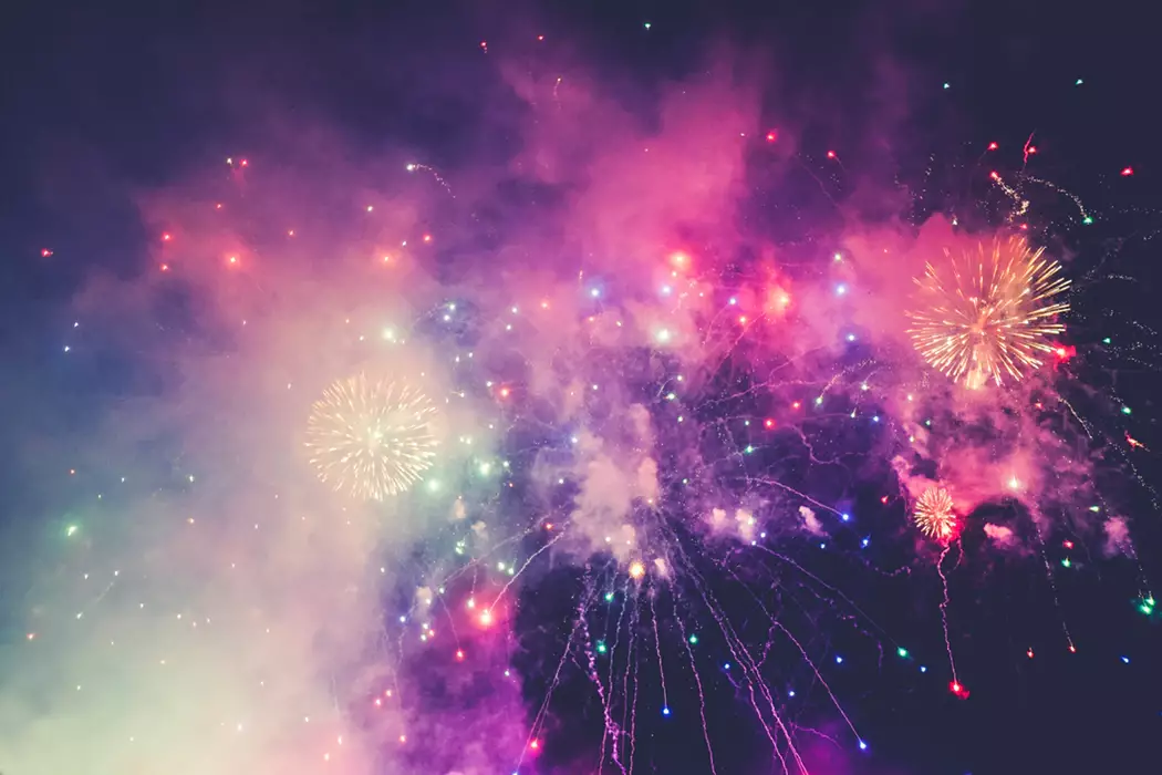 Fireworks can seriously distress or even kill vulnerable animals (