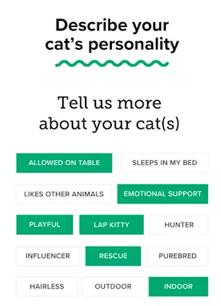 Pet owners can enter all sorts of details about their cats to match with fellow feline lovers (