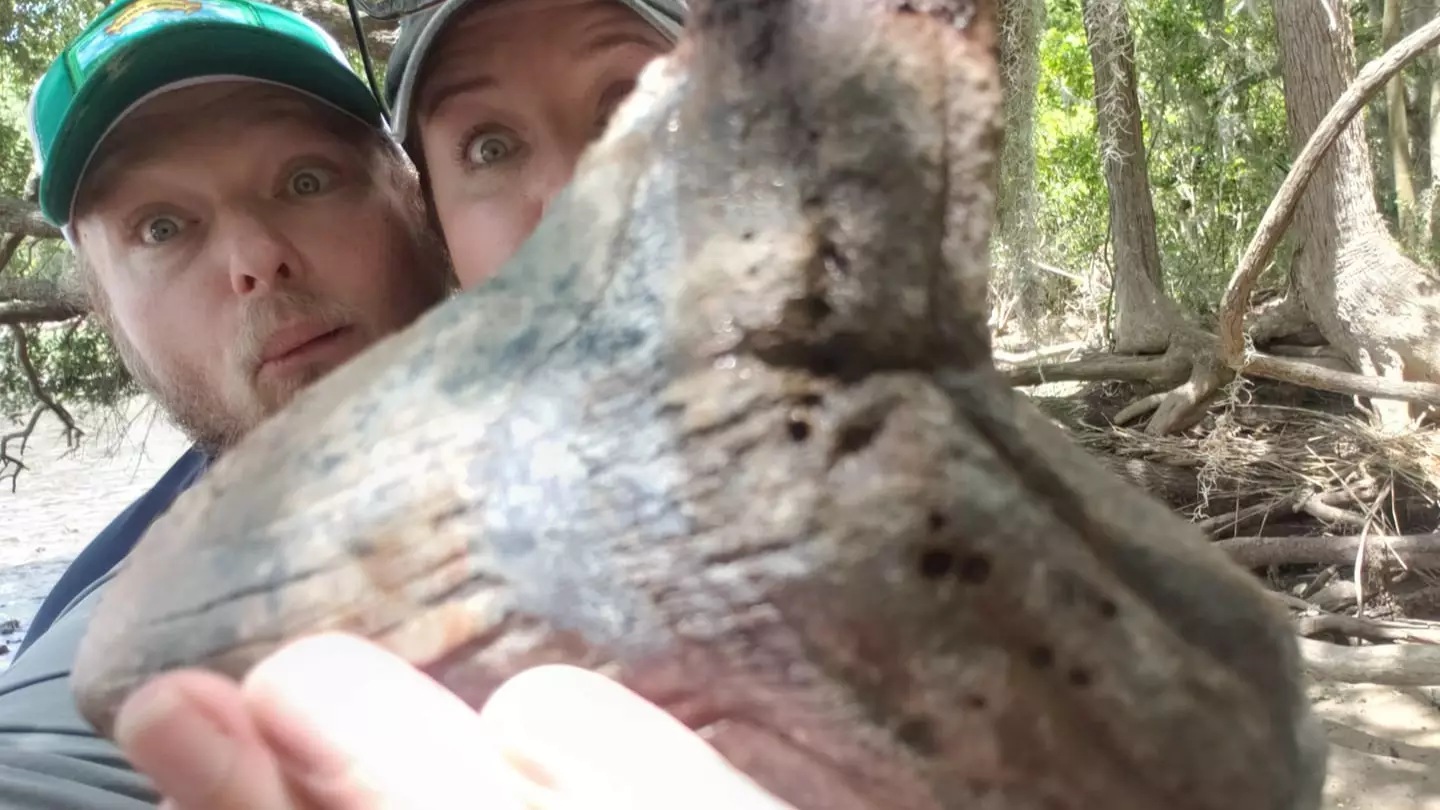 Couple Find Huge Fossilised Megalodon Tooth In South Carolina