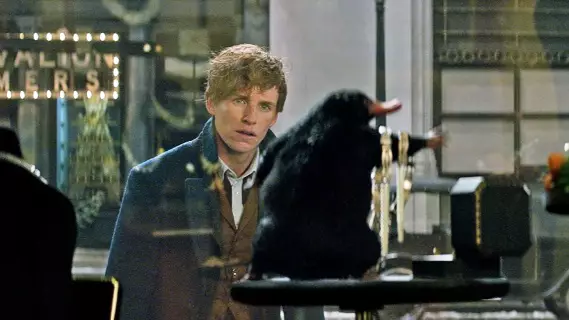 Fantastic Beasts: The Wonder Of Nature Exhibition Coming To The National History Museum