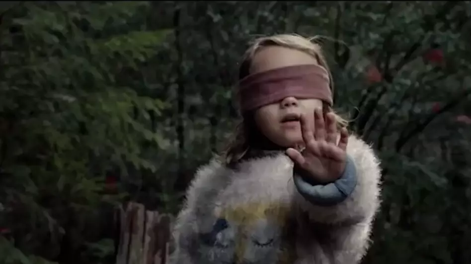 ​People Are Obsessed With Netflix's 'Bird Box' And The Memes Are Twitter Gold