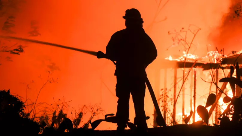 The California wildfires that ravaged the state in November last year.