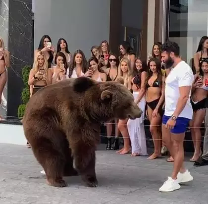 The bear landed back on the ground and it looked like Bilzerian panicked a tad.
