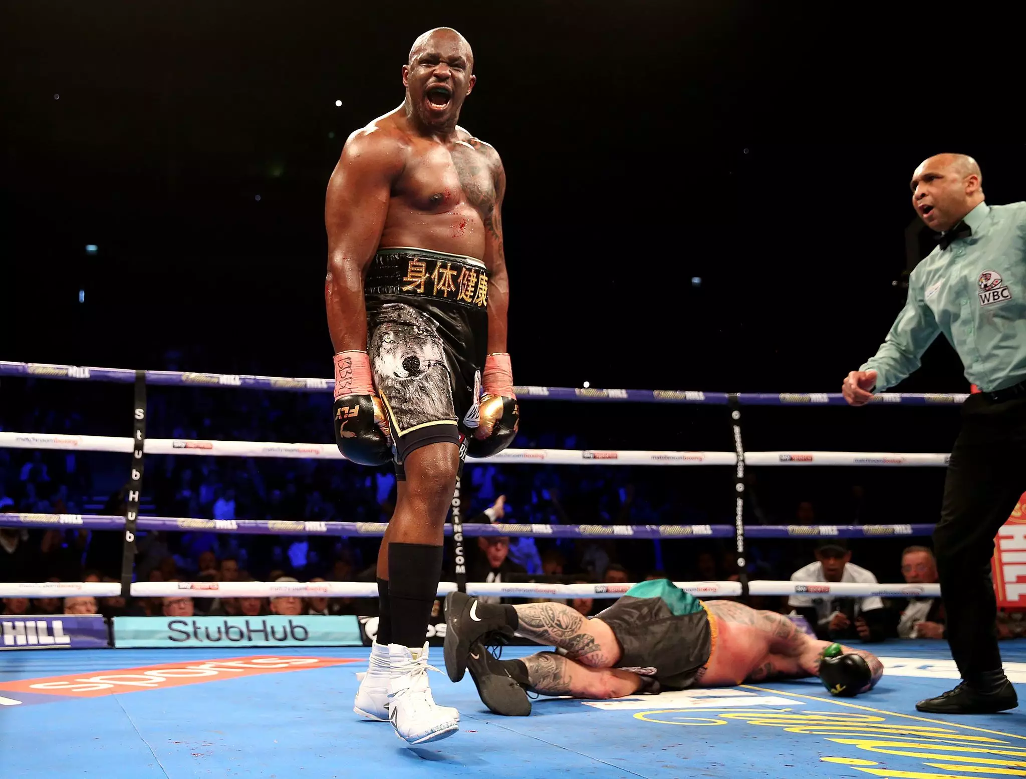 Whyte celebrates after putting Browne to sleep. Image: PA