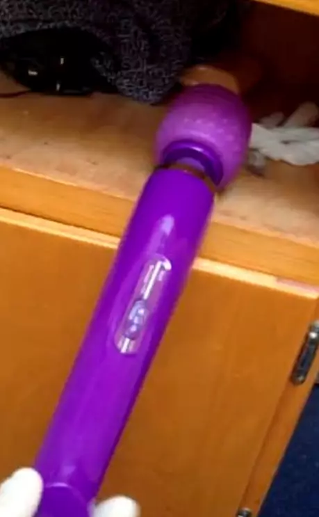 Officers discovered an 'inner sanctum' within his office which contained a purple dildo and lube.