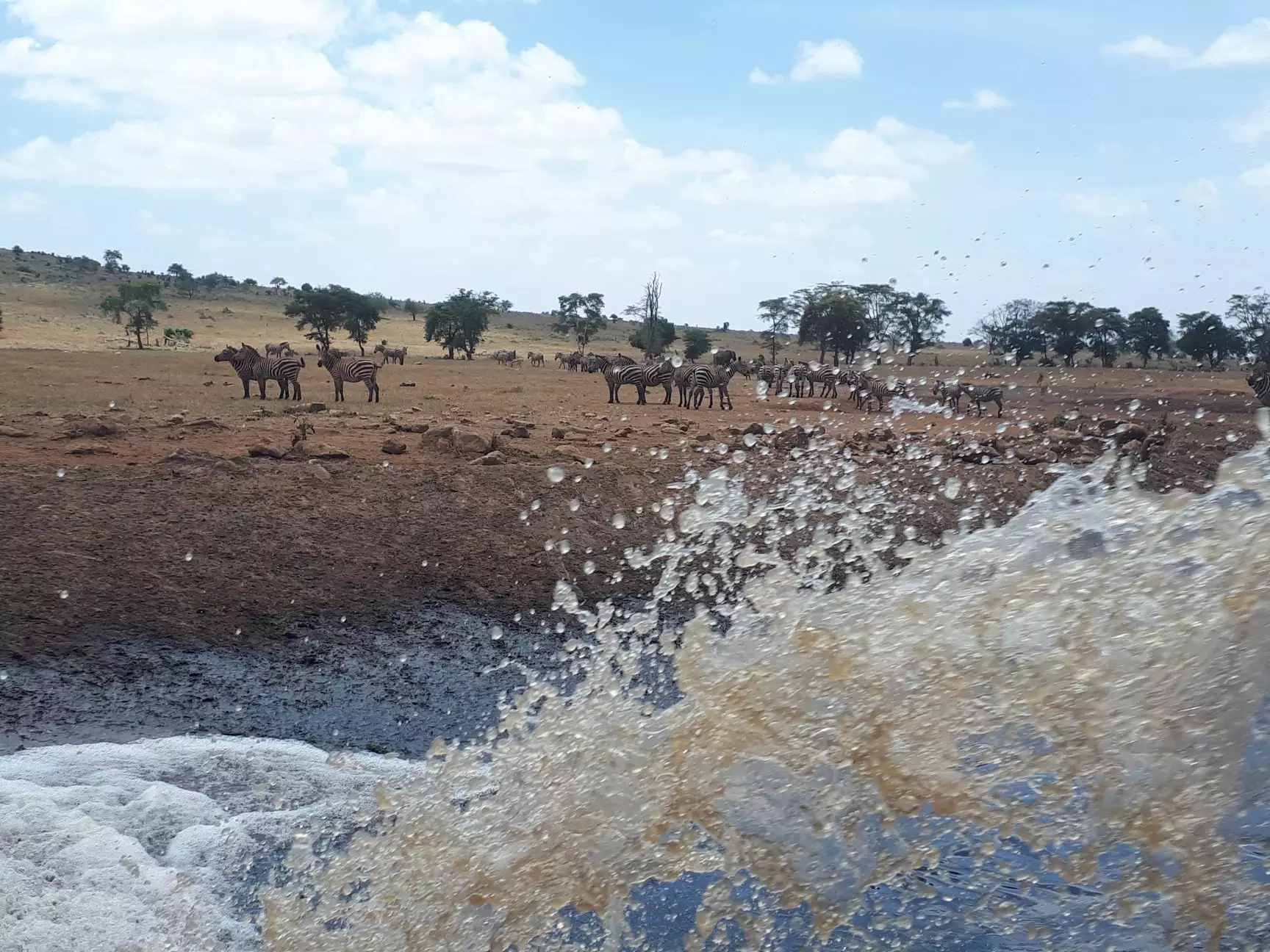 The farmer brings water to the Tsavo West National Park in Kenya.