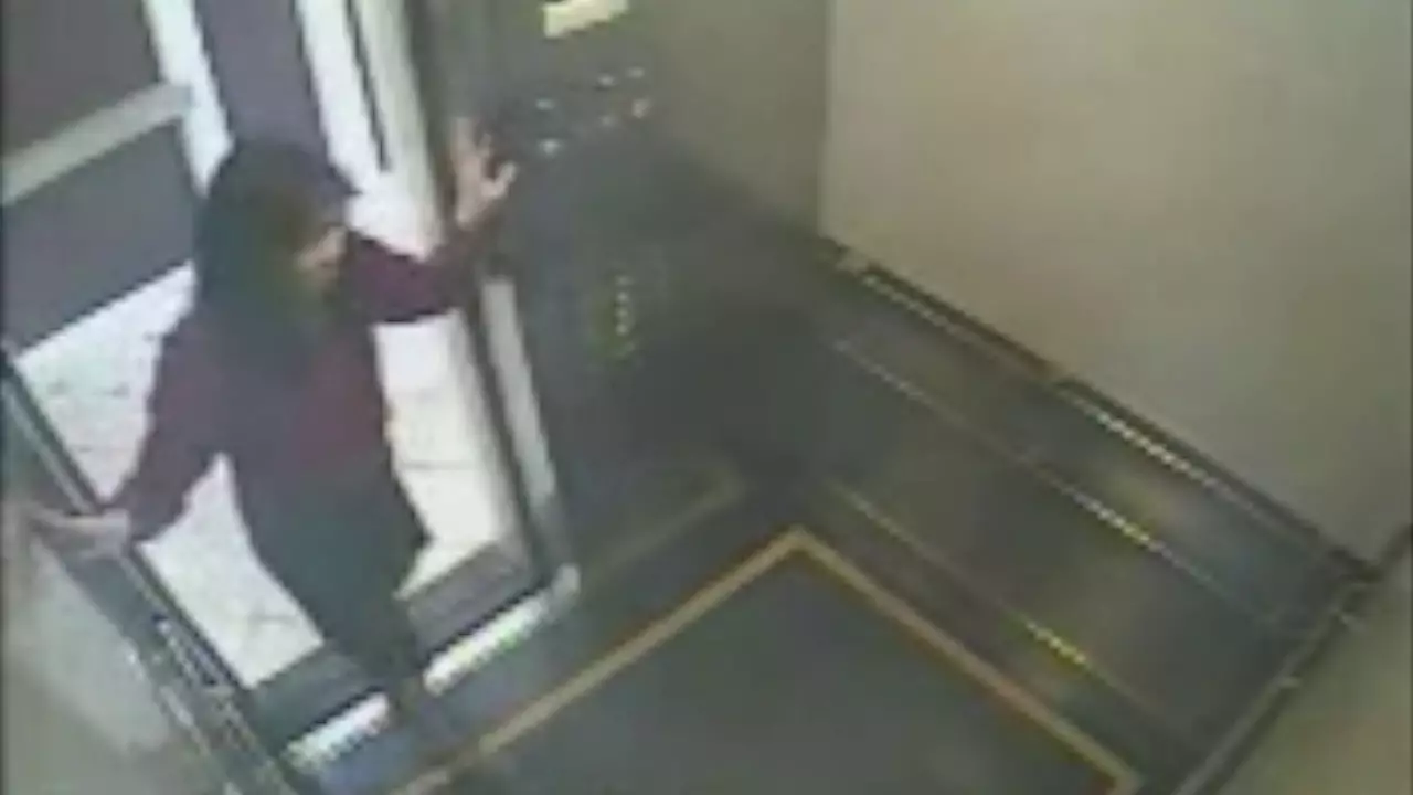 The CCTV footage of Elisa Lam in the elevator led to lots of speculation about her disappearance (