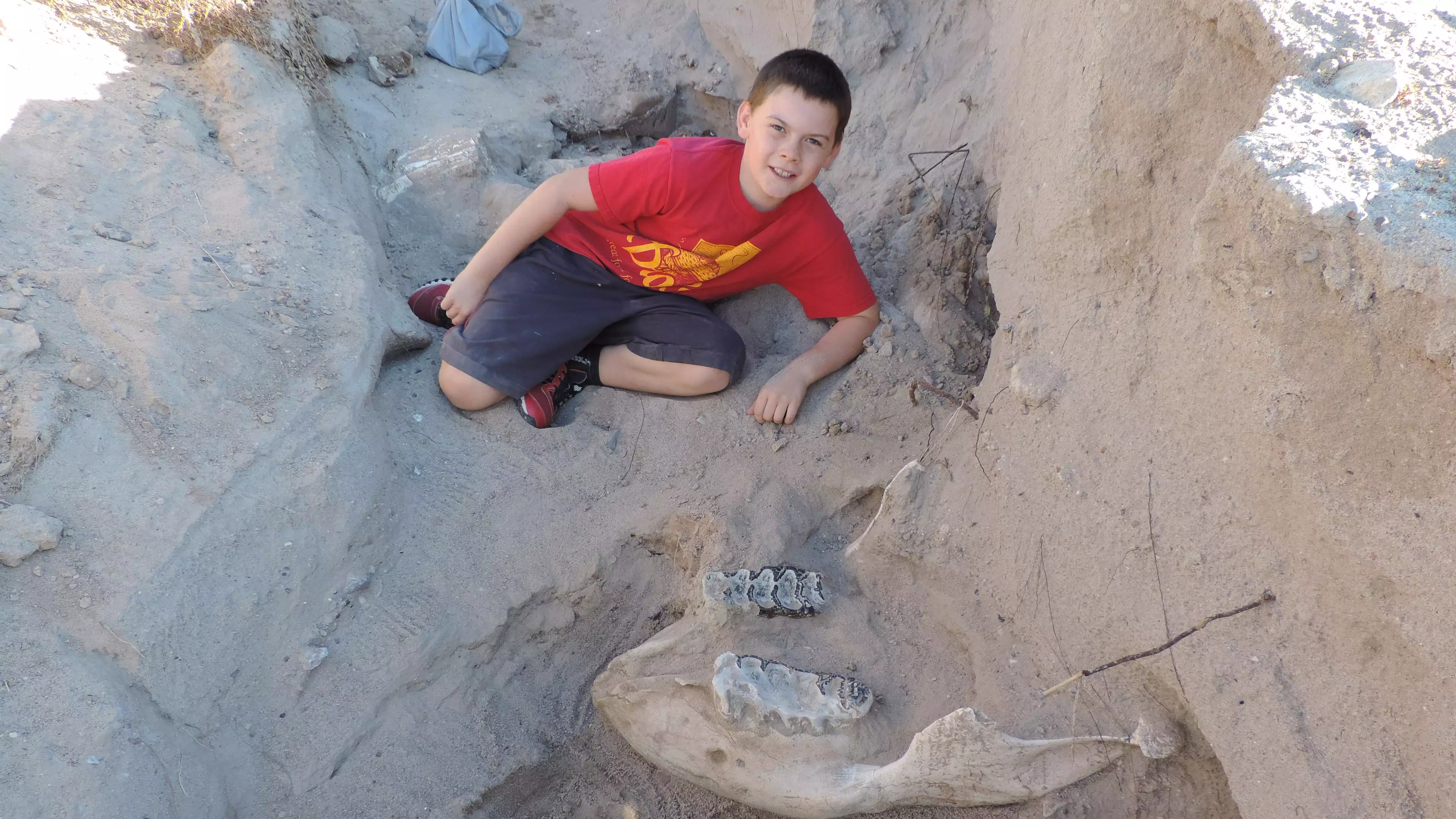 Ten-Year-Old Boy Discovers Rare Dinosaur Fossil