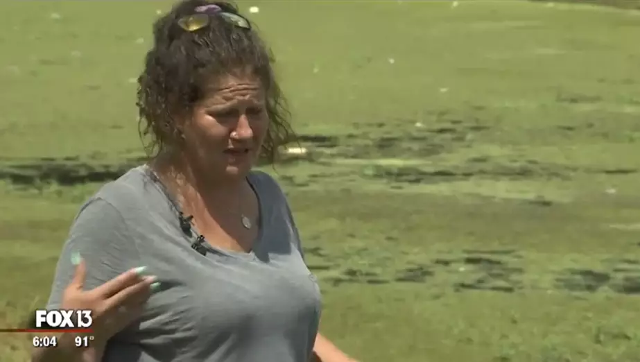 Cynthia Robinson says her dog was eaten by an alligator last week.