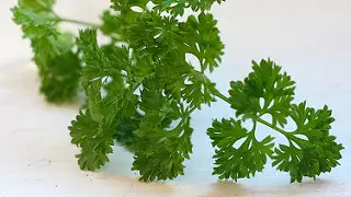 Don't Put Parsley In Your Vaginas, Warn Doctors