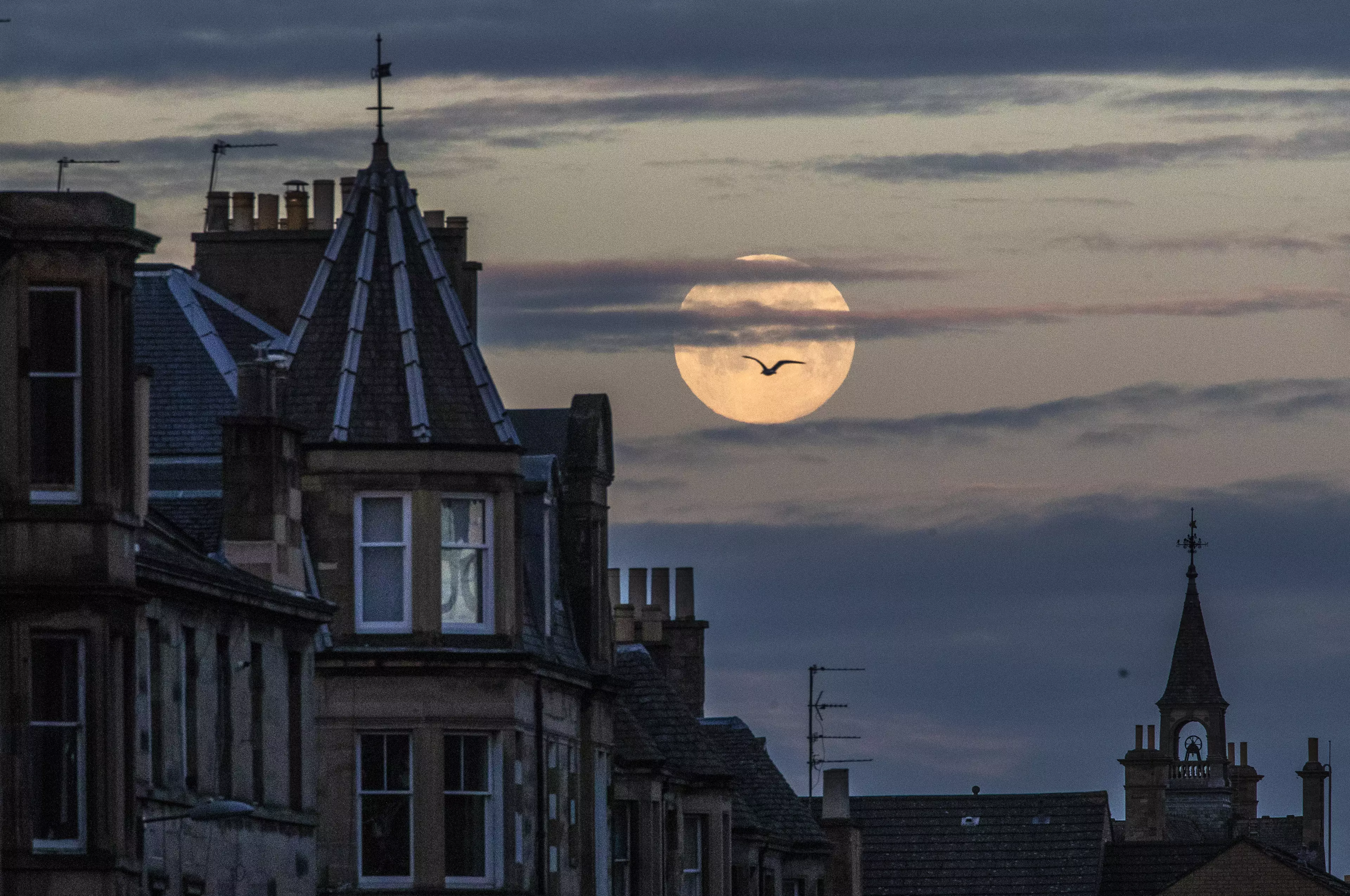 The pink supermoon peaked at around 3.30am in the UK last night (