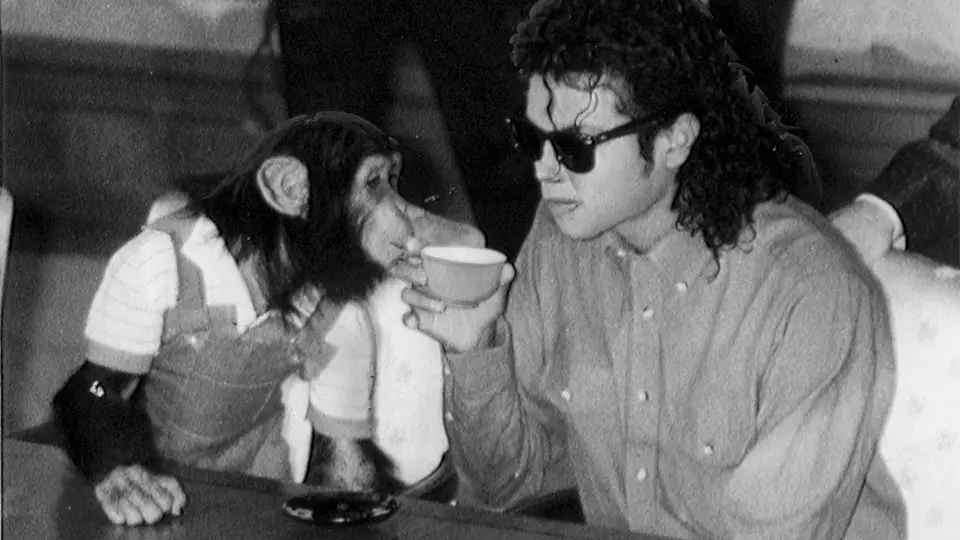 Michael Jackson Accused Of Beating Pet Chimpanzee Bubbles