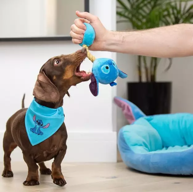 The Pets Collection comes as part of Primark's wider Disney Stitch range (