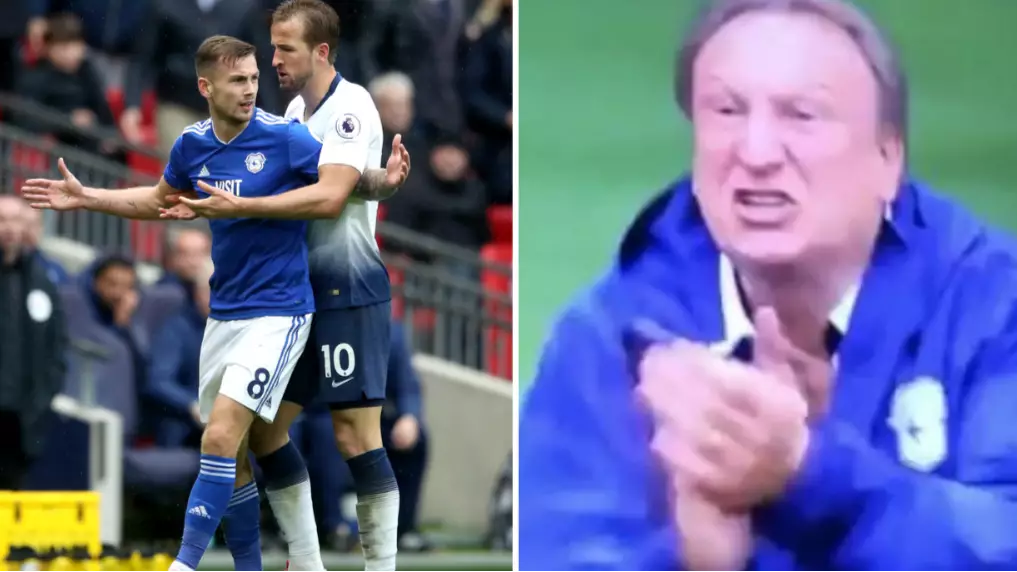 What Neil Warnock Screamed At Harry Kane After Joe Ralls Was Sent Off