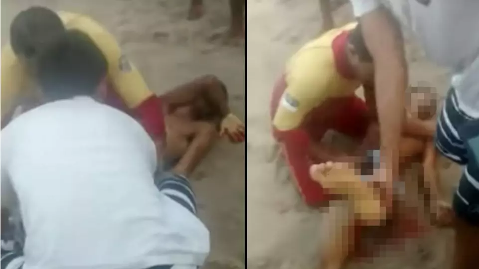 Man Loses His Penis In Shark Attack In Brazil 