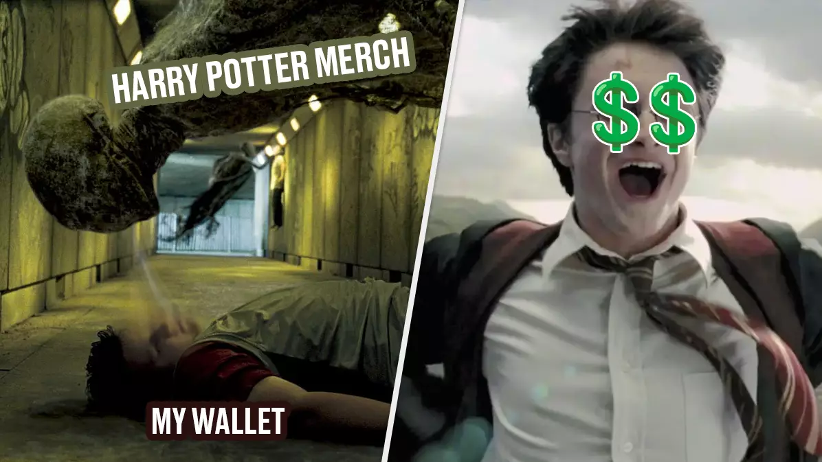 Harry Potter Fans Spend A Shocking Amount On Merch, Says Study