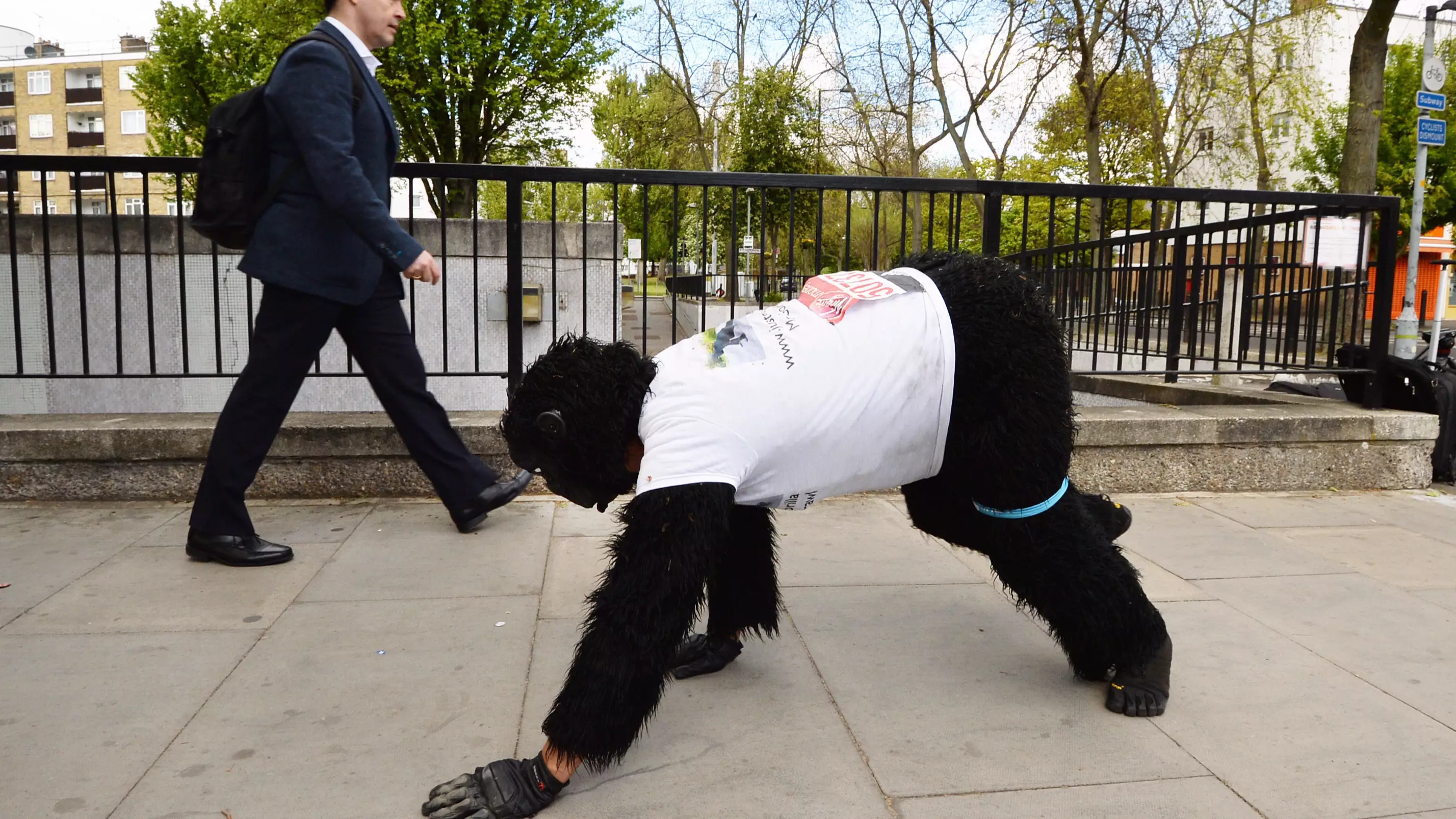 Mr Gorilla Has Finished The London Marathon Six Days Later 