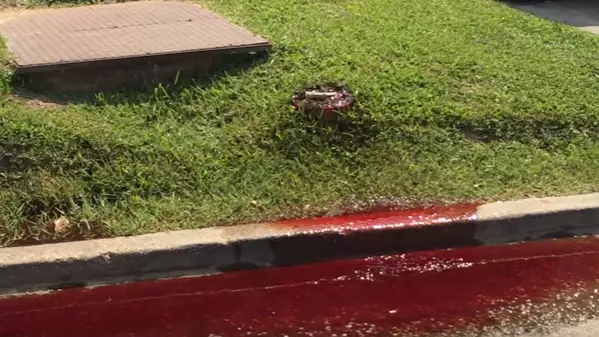 Blood Seeps Onto Pavement Outside Louisiana Funeral Home