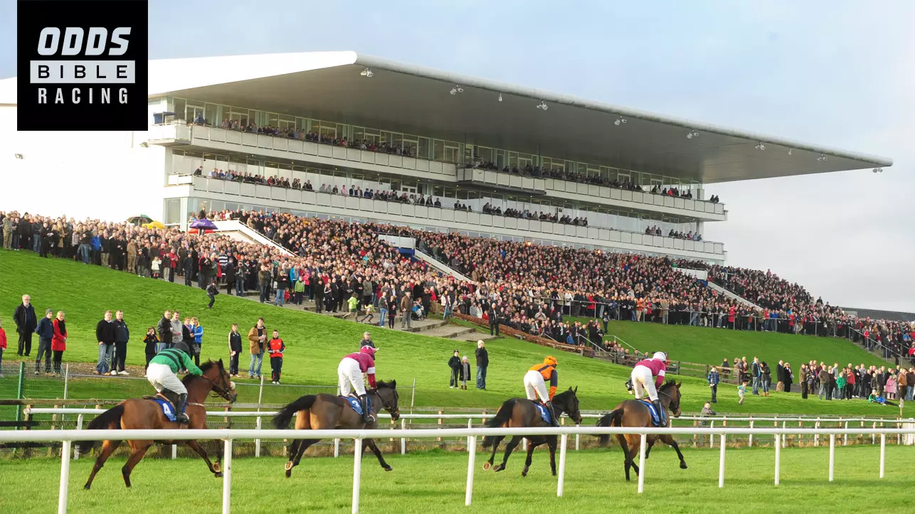 ODDSbibleRacing's Best Bets From Thursday's Action At Chelmsford, Limerick and Southwell
