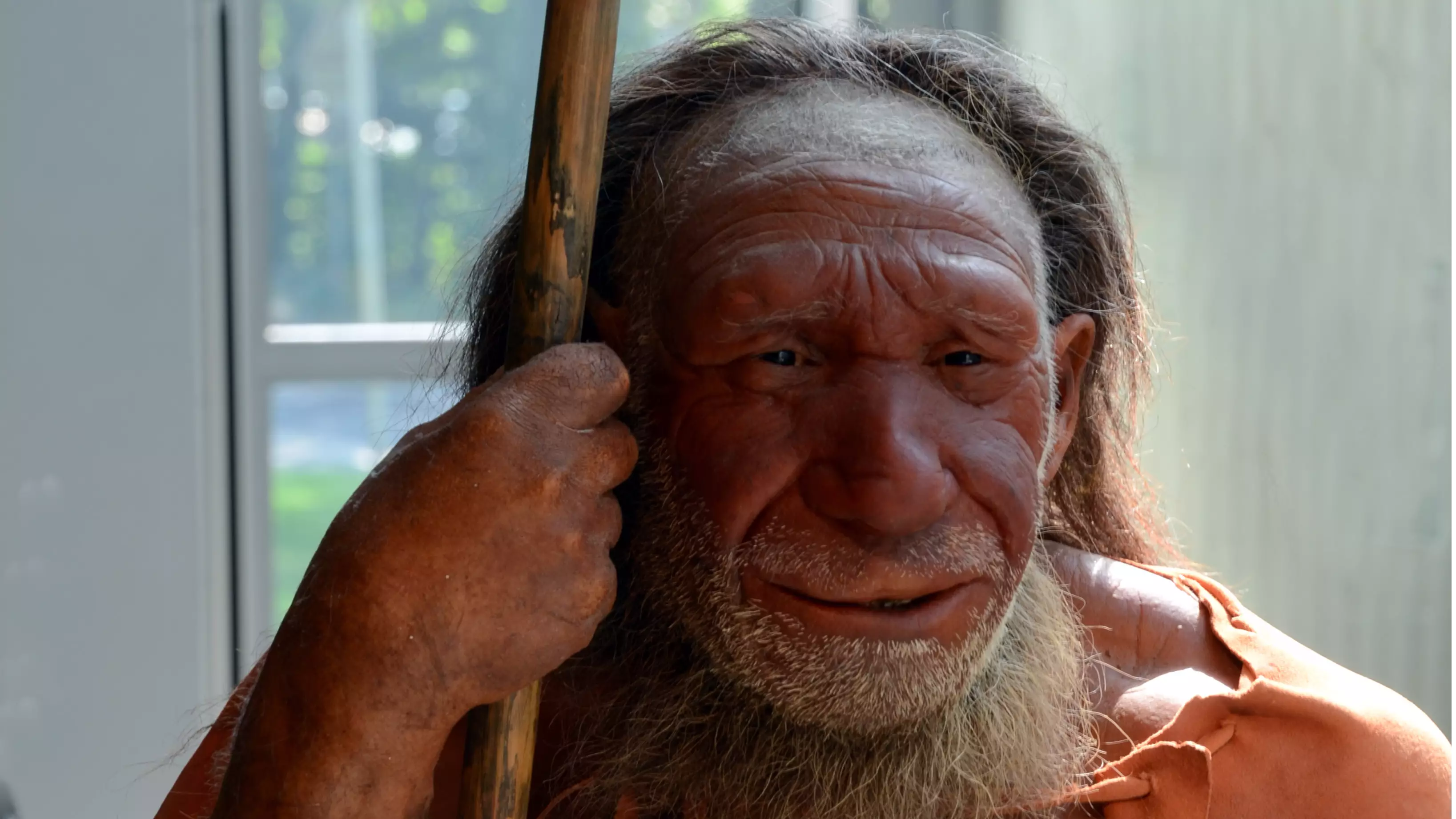 Everything We Know About Where Humans Came From May Be Wrong, Says Study