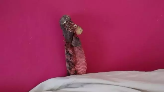 RSPCA Called Out To Rescue A Lizard, Only To Find It’s A Sock