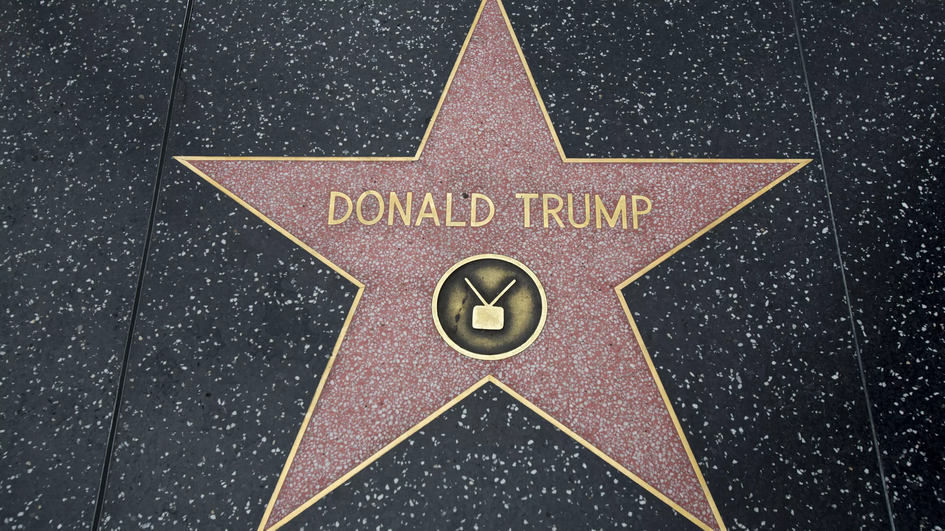 Man Who Defaced Donald Trump's Hollywood Star Bailed Out By The Last Guy